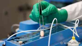 U.S. approves COVID-19 pill that decreases risk of hospitalization by 90%