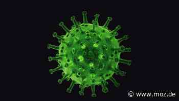 Corona im Havelland: Vierte Welle ebbt zwischen Rathenow und Falkensee ab – Delta geht, Omikron kommt - moz.de
