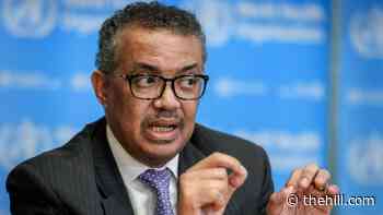 WHO chief knocks blanket coronavirus vaccine booster programs | TheHill - The Hill