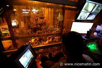 Comment la ville d'Antibes va-t'elle gérer ses déchets avec la fermeture de l'usine de l'Ariane en 2022 ?