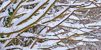 Wetterdienst warnt vor Frost und Glätte im Kreis Hildesheim – Chance auf weiße Weihnacht - www.hildesheimer-allgemeine.de