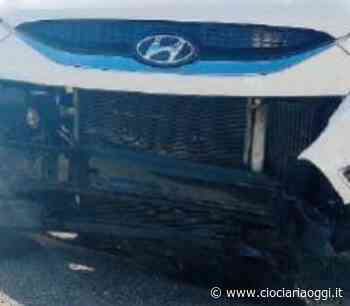 Auto contro cinghiale sulla Sora - Ferentino: animale morto e paura per un giovane - ciociariaoggi.it