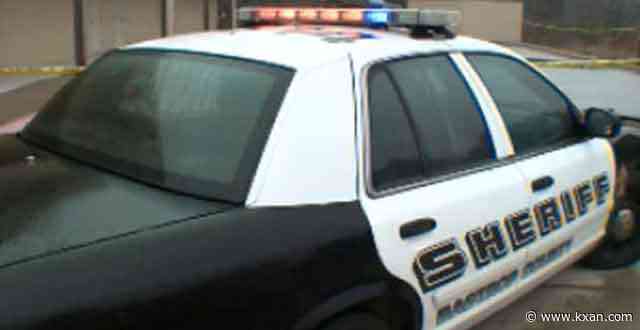 'Severely undernourished' cattle seized on Bastrop County property