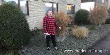 Verteufelt, verboten – trotzdem ein klares Ja zum Schottergarten - Marler Zeitung