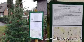 O Tannenbaum: Weihnachtsspaziergang mit 13 Stationen - Waltroper Zeitung