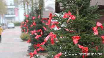 Nordenham Marketing & Touristik verschenkt Nordmanntannen: Weihnachtsbäume zum Nulltarif - Nordwest-Zeitung