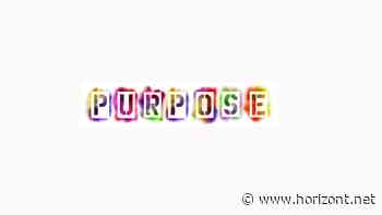 Haltung vs. Kommerz: Worüber beim Purpose-Marketing auch gesprochen werden sollte - Horizont.net