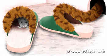 How We’re Holding It Together