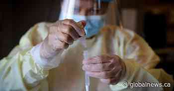 COVID-19: 522 new cases of Omicron confirmed in Alberta Wednesday