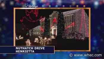 Lighting up the Holidays: Nuthatch Drive in Henrietta