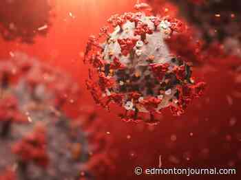 COVID-19: Alberta reports highest new case total in months, World Juniors provides chance for economic recovery