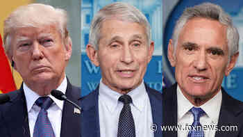 Scott Atlas: I was 'shocked' Trump never fired Fauci, Birx - Fox News