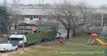 "Via Zacconi: disboscamento immotivato" - Gazzetta di Parma
