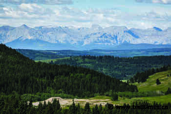 Level playing field? Coal miners, environmentalists wrangle over hearing costs - Trail Times