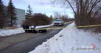 Security guard attacked on trail behind Lansdowne Place mall in Peterborough: police - Global News