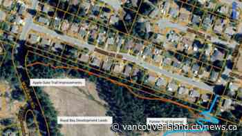 New Colwood wilderness trail connects mountain communities to beaches below - CTV News VI