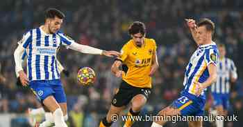 Bruno Lage's furious reaction to Trincao as Fabio Silva makes rapid exit after Wolves beat Brighton - Birmingham Live