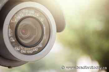 OPP, Alliston BIA partner up to create 'SCRAM' program - BradfordToday