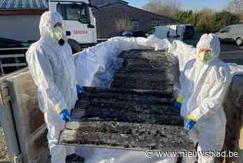 Inwoners van twaalf gemeenten kunnen asbest aan huis laten ophalen: “Vervoer met de auto is gevaarlijk”