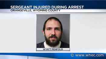 Deputies: Wyoming County man injures sergeant during arrest over domestic incident