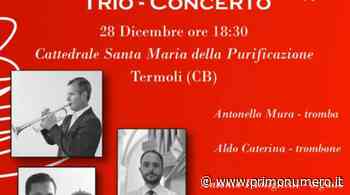 Fascinazioni barocche in Cattedrale: il concerto a Termoli - Primonumero