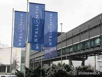 STELLANTIS, 2021 NEGATIVO PER TERMOLI: ECCO GLI SCENARI FUTURI PER LO STABILIMENTO - Molise Web