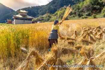 New Evidence for How Languages Spread 10,000 Years Ago