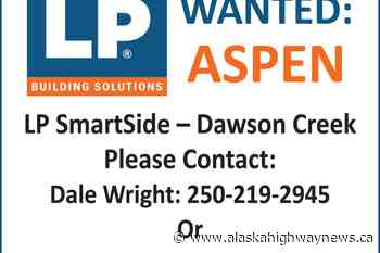 LP SmartSide-Dawson Creek looking for aspen - Alaska Highway News