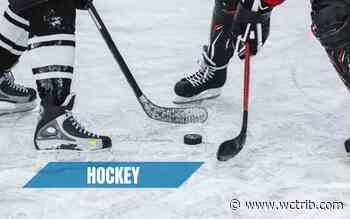 Prep hockey: Litchfield/Dawson-Cokato edges Marshall - West Central Tribune