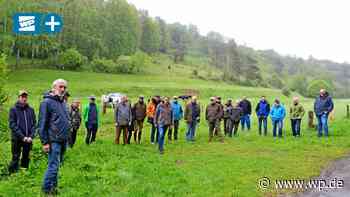 Marsberg: „Landschaftsbild wird sich wesentlich verändern“ - wp.de