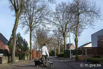 Buurtbewoners reageren op heisa over bomenkap in Retie die 'breaking news' werd: “We worden afgeschilderd als - Gazet van Antwerpen