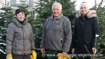 Weihnachten: Regionale Christbäume sind gefragt in Aichach-Friedberg - Augsburger Allgemeine