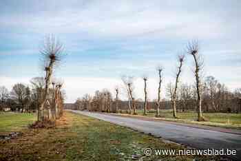 Landinrichtingsplan start met opbreken van Kauwbosstraat