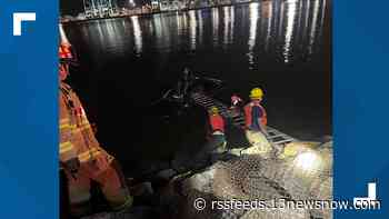 Portsmouth crews rescue driver found on top of car in body of water