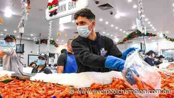 Sydney Christmas seafood marathon begins - Liverpool City Champion