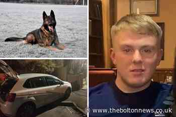 Dangerous driver spared jail after he was caught by a police dog