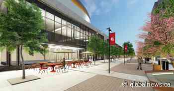 Coverage of costs: Flames, city explain cause of Calgary arena deal collapse