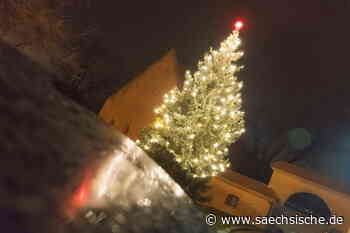 Riesa: Wie groß ist Riesas Weihnachtsbaum? - Sächsische.de