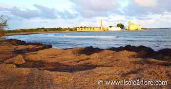 Itinerari siciliani tra Catania e Siracusa a caccia di gustose delizie - Il Sole 24 ORE
