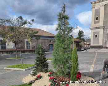 TIM attraverso FiberCop porta la Fibra a San Gregorio di Catania - MondoMobileWeb.it