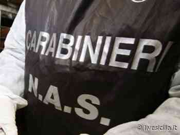 Catania, medico no vax in oncologia: sanzione dei Nas - Livesicilia.it