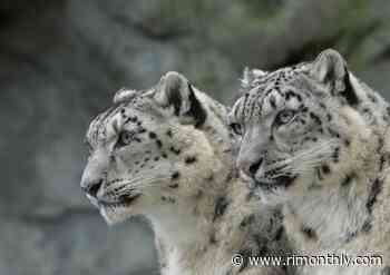 National Visit the Zoo Day at Roger Williams Park Zoo - Rhode Island Monthly