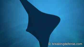 DARPA taps Northrop, Martin Defense Group for Manta Ray UUV Phase 2