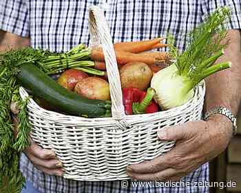 Kochkurs nur für Männer an der VHS in Breisach - Breisach - Badische Zeitung