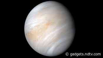 Life on Venus? MIT Scientists Say Theoretically Possible