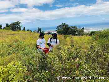 New program helps Hawaii nonprofits, groups launch regenerative tourism experiences