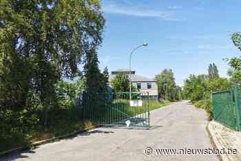 Vlaamse regering trekt flinke subsidies uit voor ontwikkeling Asiat-site - Het Nieuwsblad