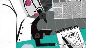 Lab-Grown Embryo Research Is Poised to Transform Medicine