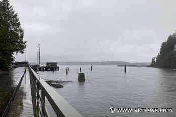 Port Renfrew breaks rainfall records, doubles the usual total for November – Victoria News - Victoria News