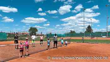 Tennis-Gemeinschaft Rosenfeld - Freizeitsportler packen viele Dinge an - Schwarzwälder Bote